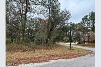 6 Shamrock Court, Homosassa, FL 34446 - Photo 1