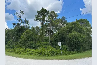 Lot 1 Canvasback Road, Brooksville, FL 34614 - Photo 1