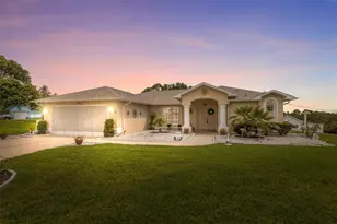 10066 Tay Ct, Spring Hill, FL 34608 - Photo 1