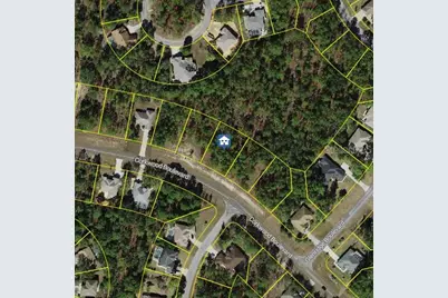 62 Corkwood Boulevard, Homosassa, FL 34446 - Photo 1