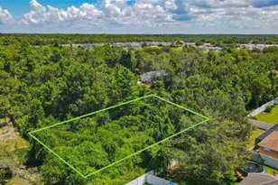 14645 Abair St, Hudson, FL 34667 - Photo 1