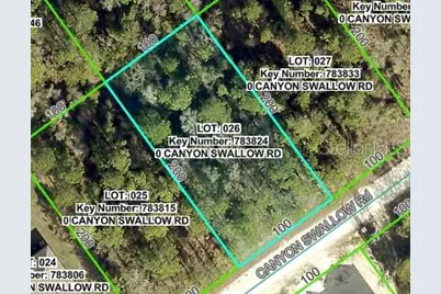 14181 Canyon Swallow Road, Weeki Wachee, FL 34614 - Photo 1