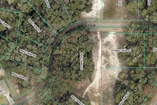 Magnolia Pass Trace, Ocklawaha, FL 32179 - Photo 1