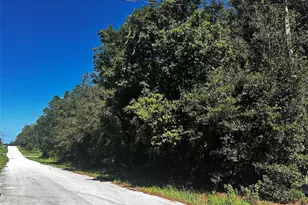 3301 E Anderson St, Inverness, FL 34453 - Photo 1