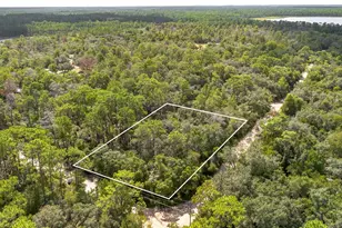 0 Southeast 92nd Pl, Ocklawaha, FL 32179 - Photo 1