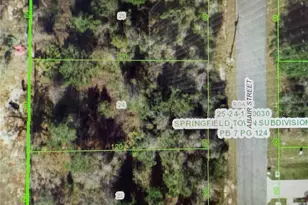 14751 Abair St, Hudson, FL 34667 - Photo 1