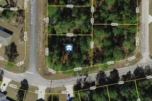 8737 N Raidin Dr, Citrus Springs, FL 34433 - Photo 1