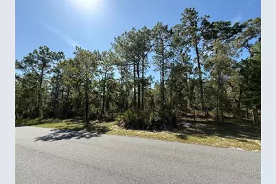 9006 Michigan Avenue, Weeki Wachee, FL 34613 - Photo 1