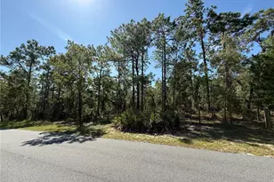 9006 Michigan Ave, Weeki Wachee, FL 34613 - Photo 1