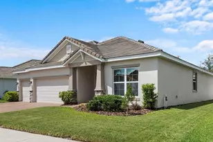 11933 Cinnamon Fern Dr, Riverview, FL 33579 - Photo 1