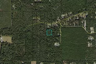 Luke Smith Rd, Crawfordville, FL 32327 - Photo 1