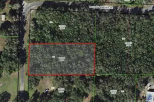 849 N Horse Prairie Rd, Inverness, FL 34450 - Photo 1