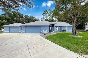 13387 Dewey Ct, Spring Hill, FL 34609 - Photo 1