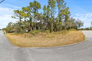 0 Marcella Ave, Weeki Wachee, FL 34614 - Photo 1