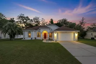 3292 Dow Ln, Spring Hill, FL 34609 - Photo 1