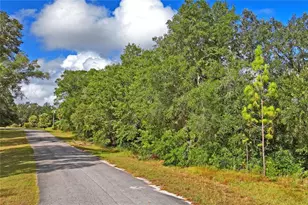 6720 N Paraqua Cir, Crystal River, FL 34428 - Photo 1