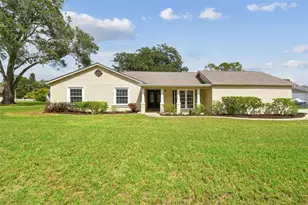 3130 Lake Saxon Dr, Land O Lakes, FL 34639 - Photo 1