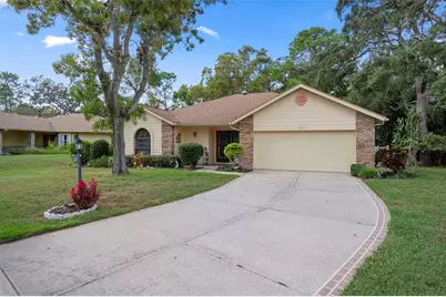 6421 Pine Meadows Drive, Spring Hill, FL 34606 - Photo 1