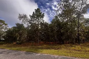 11290 Lapwing Rd, Weeki Wachee, FL 34614 - Photo 1