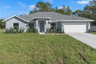 11172 Pigeon Ave, Weeki Wachee, FL 34614 - Photo 1