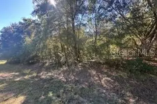 10012 N Athenia Dr, Citrus Springs, FL 34434 - Photo 1