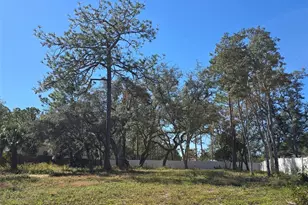 12437 Harris Hawk Rd, Weeki Wachee, FL 34614 - Photo 1