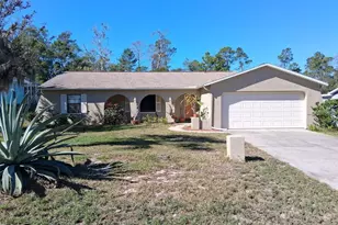 6233 Hancock Ave, Spring Hill, FL 34608 - Photo 1