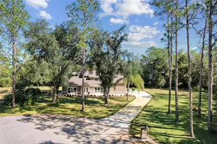 4044 Red Fox Ct, Wesley Chapel, FL 33543 - Photo 1