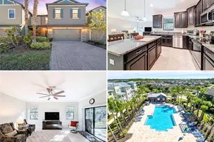 28520 Tranquil Lake Cir, Wesley Chapel, FL 33543 - Photo 1