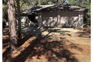 20305 Gamble Dr, Brooksville, FL 34601 - Photo 1