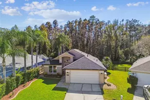 29228 Birds Eye Dr, Wesley Chapel, FL 33543 - Photo 1