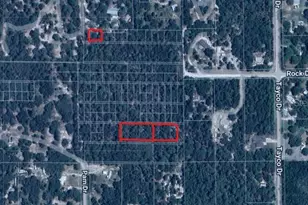 0 Rock Duck Ave, Weeki Wachee, FL 34614 - Photo 1