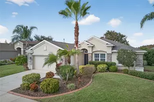 10539 Gooseberry Ct, Trinity, FL 34655 - Photo 1