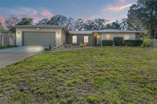 7370 Holiday Dr, Spring Hill, FL 34606 - Photo 1