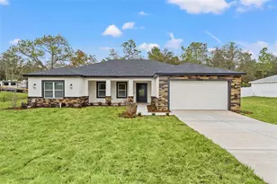 11374 Paramount Ave, Weeki Wachee, FL 34614 - Photo 1