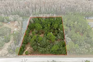 10021 Yellowback Rd, Weeki Wachee, FL 34614 - Photo 1