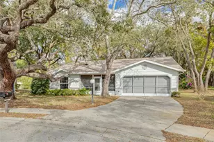8619 Gold Pine Dr, Port Richey, FL 34668 - Photo 1