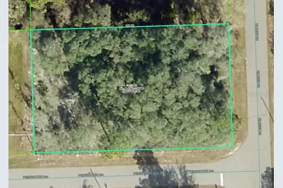 Lot 4 Kildeer Road, Weeki Wachee, FL 34614 - Photo 1