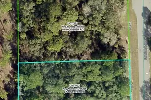 Lot 1 Kingfisher Rd, Weeki Wachee, FL 34614 - Photo 1