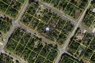 3159 W Edison Pl, Citrus Springs, FL 34433 - Photo 1