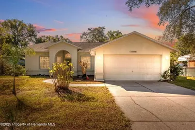 10290 Adler Street, Spring Hill, FL 34608 - Photo 1