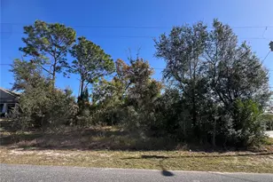 2460 Matheson Ave, Spring Hill, FL 34608 - Photo 1