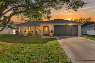 8164 Pagoda Dr, Spring Hill, FL 34606 - Photo 1