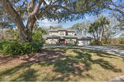 11003 Nest Court, Odessa, FL 33556 - Photo 1