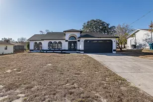 10322 Maderia St, Spring Hill, FL 34608 - Photo 1