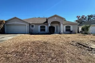 5158 Winterville Rd, Spring Hill, FL 34608 - Photo 1