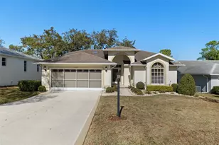 8009 Blue Skies Dr, Spring Hill, FL 34606 - Photo 1
