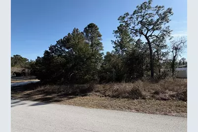 0 Gyrafalcon Avenue, Weeki Wachee, FL 34613 - Photo 1