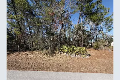 0 Fool Duck Avenue, Weeki Wachee, FL 34613 - Photo 1