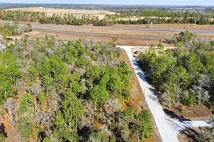 00 Velvet Scoter Ave, Weeki Wachee, FL 34614 - Photo 1